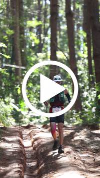 BIB:  <button type="button" onclick="openModal(26569327)" class="btn btn-primary btn-sm float-right" data-toggle="modal" data-target=".modal-high-quality">
                <i class="fa fa-download"></i> Download
                </button>